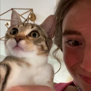 Meet your Posher, Dodie